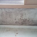 현진바이오 이미지