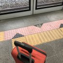 [제주도] 제주시새우리/용두암/휴애리