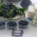 학산농장 이미지