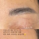 착한눈썹