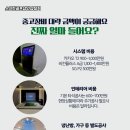 인스크린골프