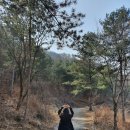 그린닭갈비 이미지