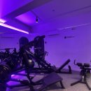 최고GYM