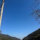 상주 황령사 아미타후불탱 | 상주여행[황령사]