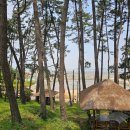 돌머리해수욕장 주차장 이미지