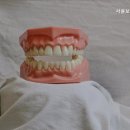 서울보리치과의원 이미지