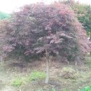 김종선농장 이미지