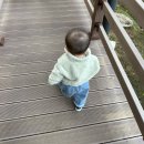 전환점/숲속길/낮잠 | 성남 아기랑 대원공원 유아숲놀이터 돌아기와 주말 일상 🪵