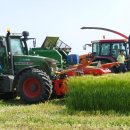 청보리축산 이미지