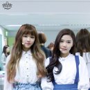 큐피트