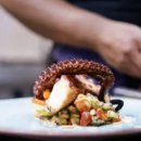 문어다리여덟개 이미지