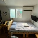 코난민박 이미지