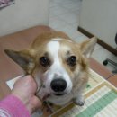 성현교회앞 이미지