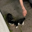 CU진해마천해오름점 이미지