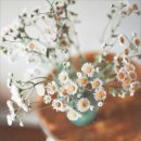 플라워봄 이미지