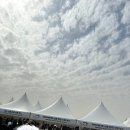 (주)일렉트릭몬스터 | 240330세븐틴 콘서트 팔로우 in 인천 (시야, 후기)