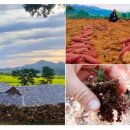 숲체험 리틀 포레스트 이미지