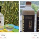우리고향캠핑장 이미지