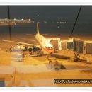 사계여행 이미지