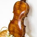 바이올린(중급) 이미지