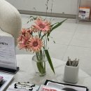 릴리프여성의원 이미지