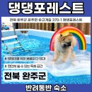 댕댕포레스트 이미지