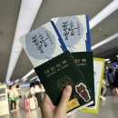 신한기기 | 트래블 월렛 VS 트래블 로그 VS 신한쏠트립앤J (일본에서직접 써본 카드 3종 후기❗️)
