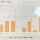 비둘기는멍청해보여