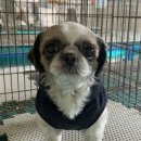 군자파출소 이미지