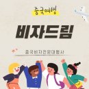 비자드림 이미지