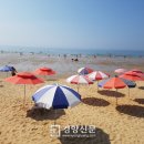 만리포해수욕장 관광지 경향신문