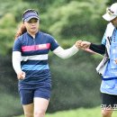 나이스포토 이미지