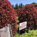 송하농장 이미지