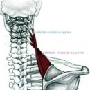 카이 스파 이미지