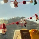 피닉스 동물병원 이미지