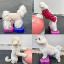 해운대유치원 이미지