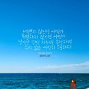 삶 이미지