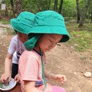 🌳🌿숲 활동- 자연의 향기에 반하다(봉숭아 물들이기)🌸🌸🌸 이미지