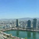 시그니엘 이미지