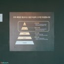 담삭