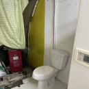 주동초등학교 이미지