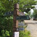 2019 울산어울길 #6