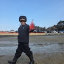 갯벌이야기 | [거제] 매미성 갯벌체험: 7세 아이와 '바지락+골뱅이' 대수확 후기!