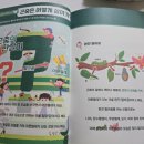 나비 한살이 | 과학이또옴 곤충의 한살이 5세 과학키트 추천