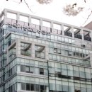 한국가정법률상담소 이미지