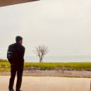 보리공인중개사사무소 이미지