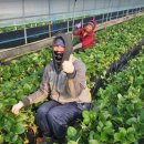 참좋은삼례내과의원 이미지