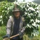 창성농장 이미지