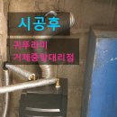 지세포포 이미지