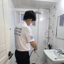 부산해충퇴치 벌레잡는 총각들 서비스 체험 후기